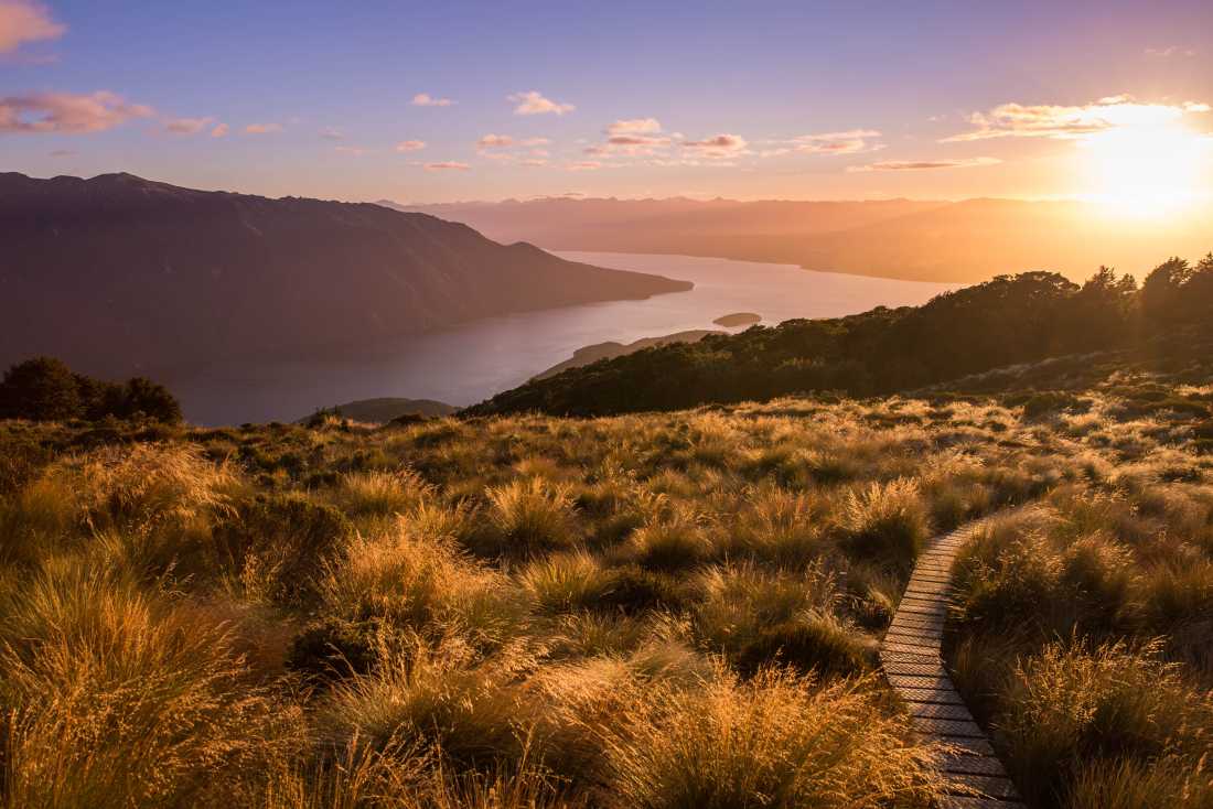Sunsetting over Southland, New Zealand |  Liz Carlson
