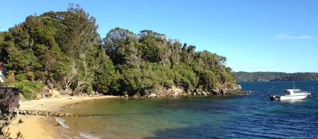 Predator-free Ulva Island off Stewart Island |  Janet Oldham